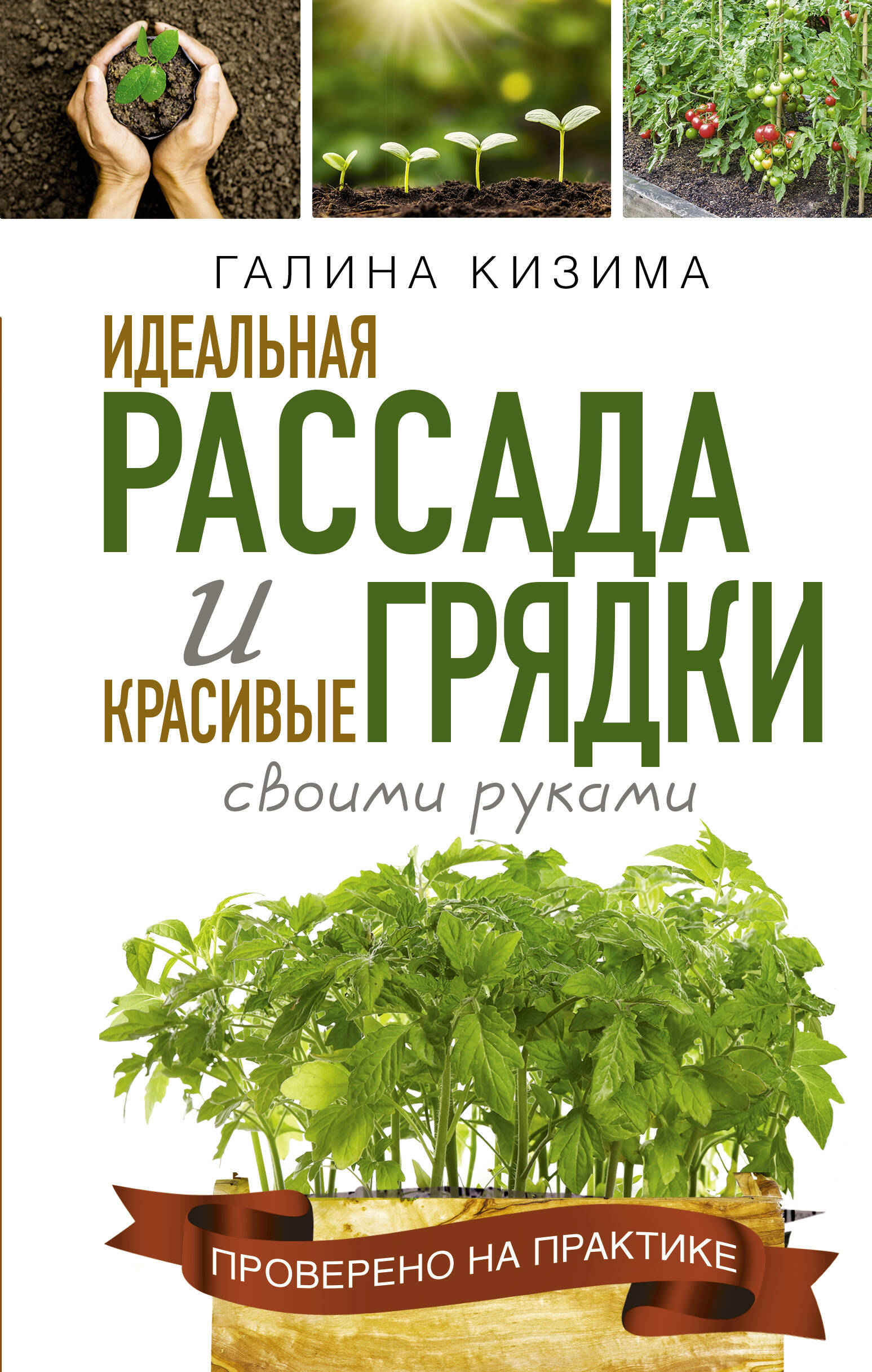 Кизима Галина Александровна Идеальная рассада и красивые грядки своими руками - страница 0