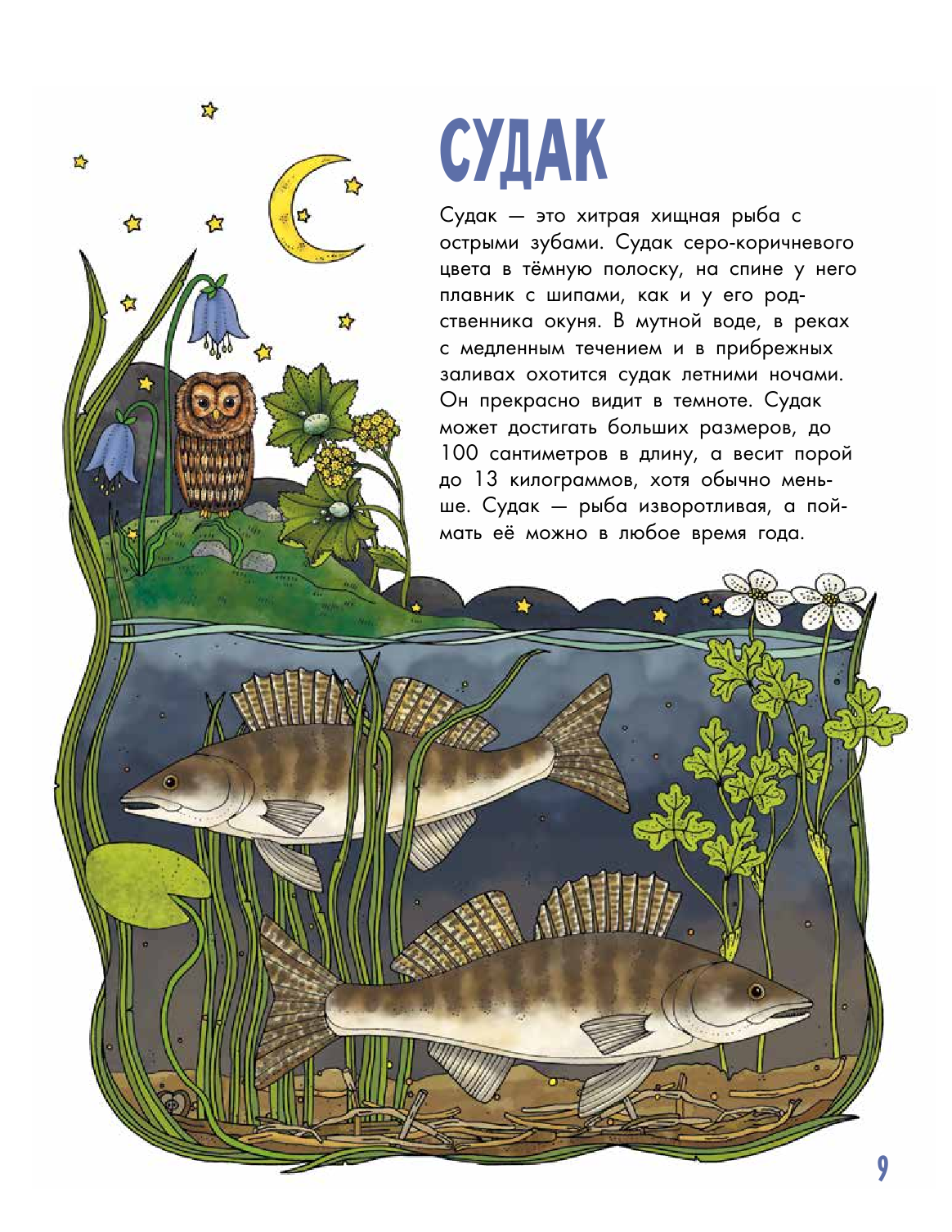  Рыбы - страница 2