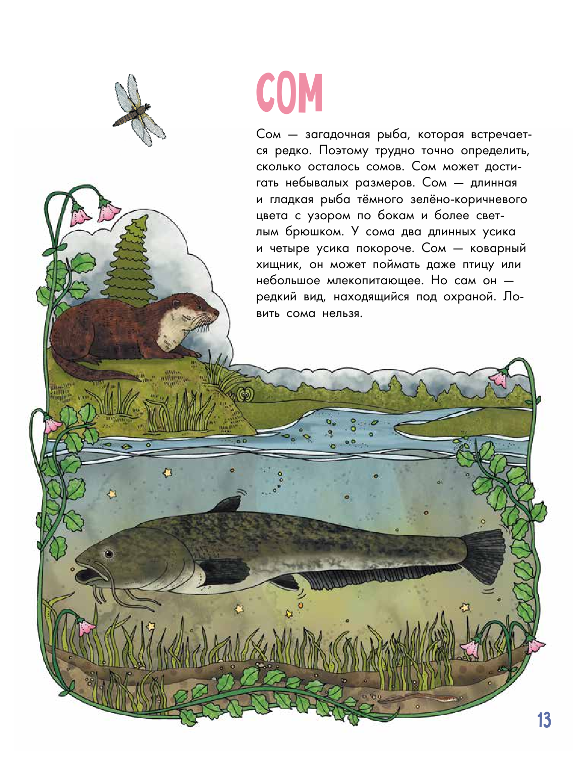  Рыбы - страница 4