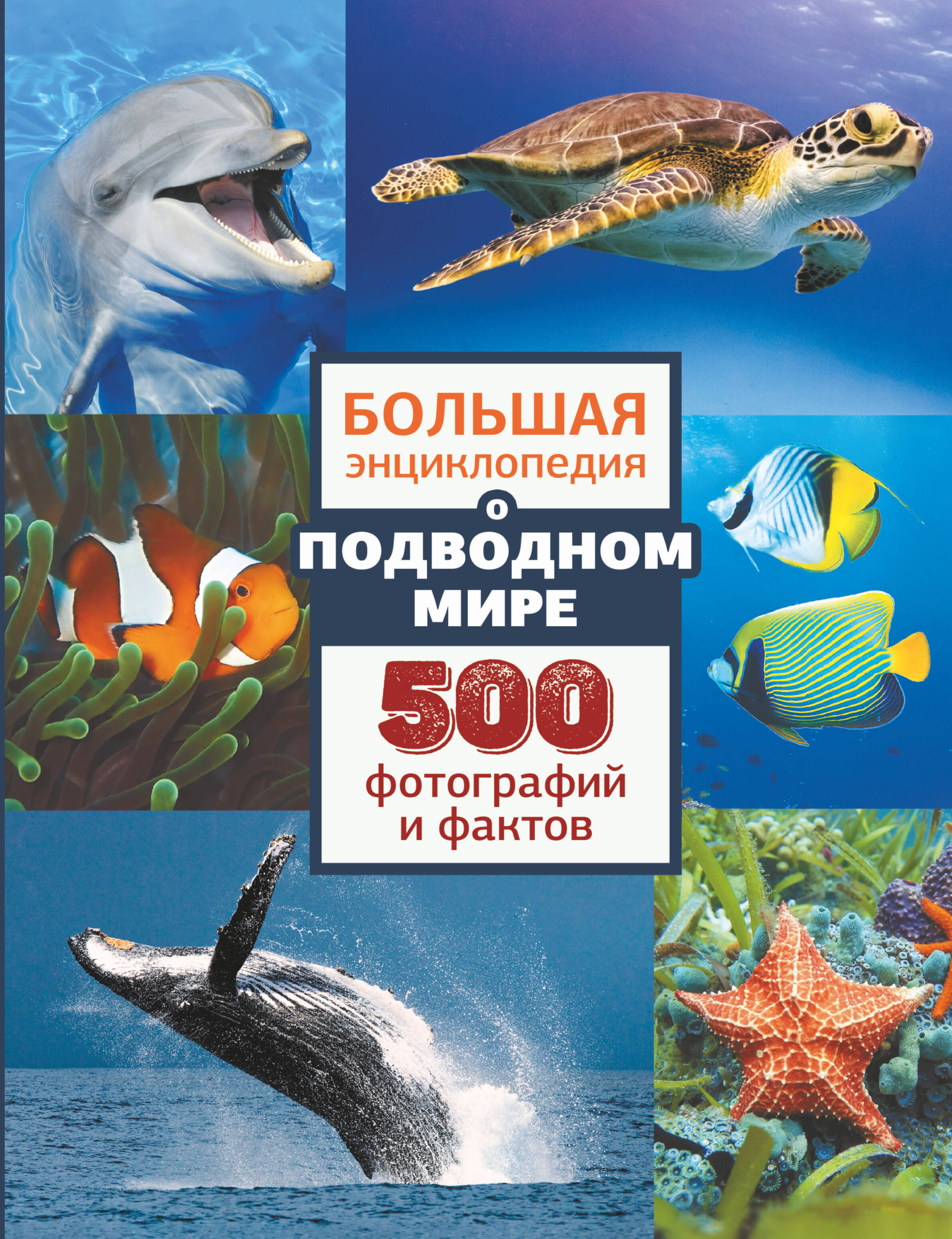 Большая энциклопедия подводном мире. 500 фотографий и фактов - страница 0