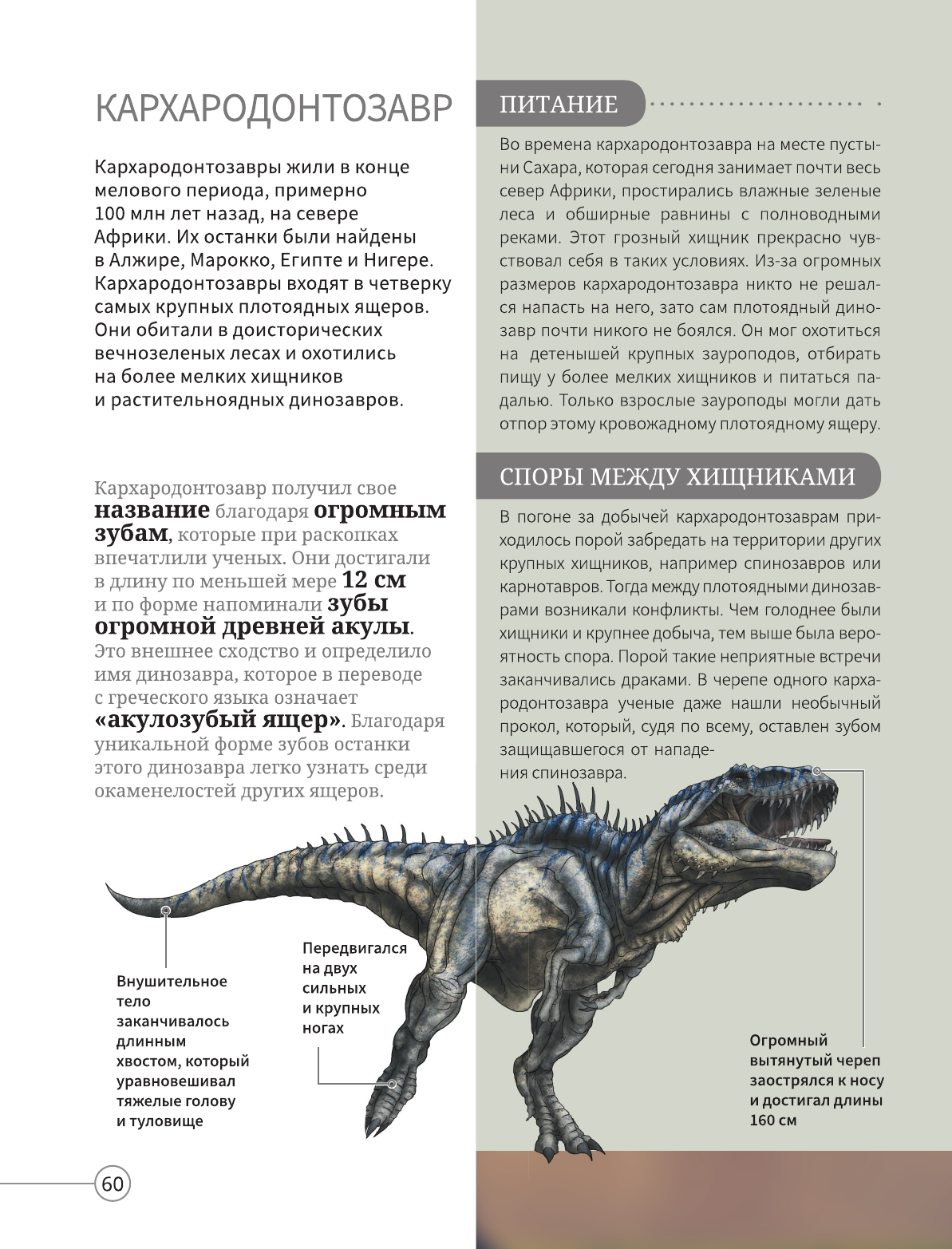  Всё о динозаврах - страница 1