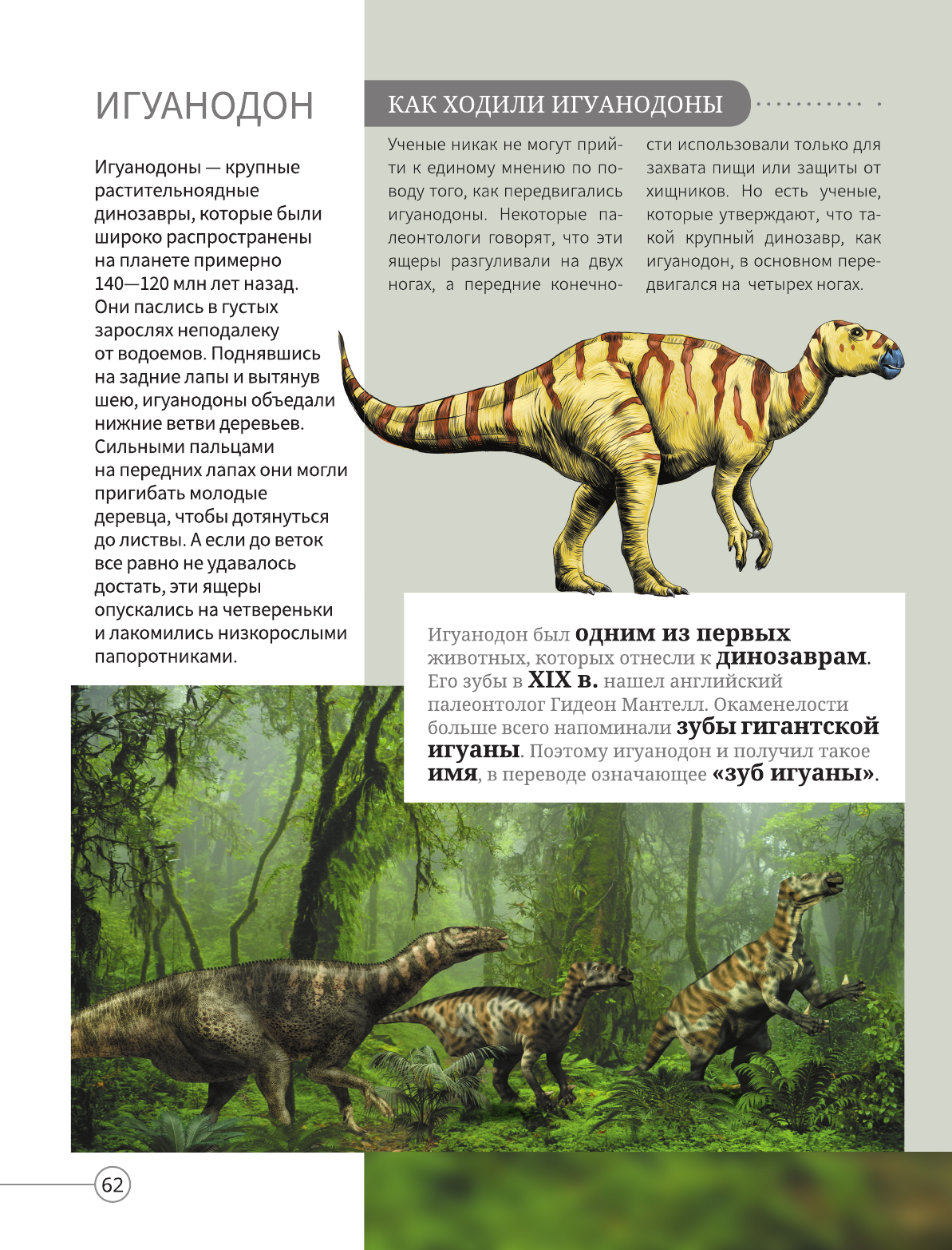  Всё о динозаврах - страница 3