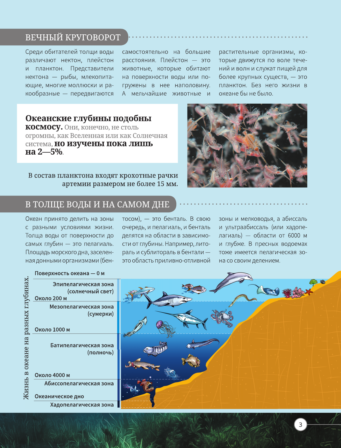  Всё о подводном мире - страница 2