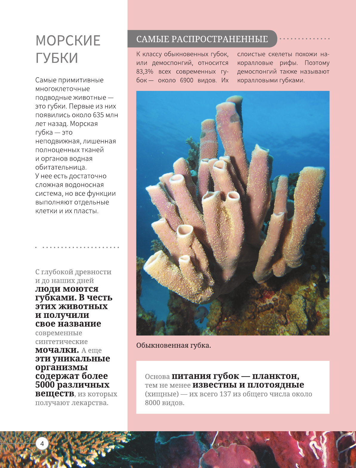  Всё о подводном мире - страница 3