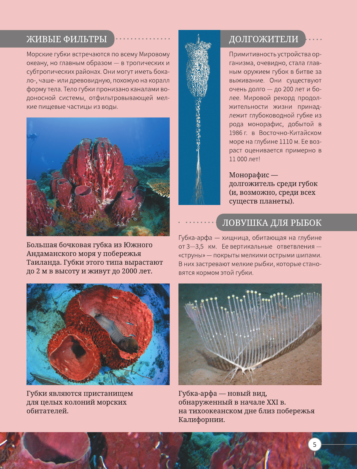  Всё о подводном мире - страница 4