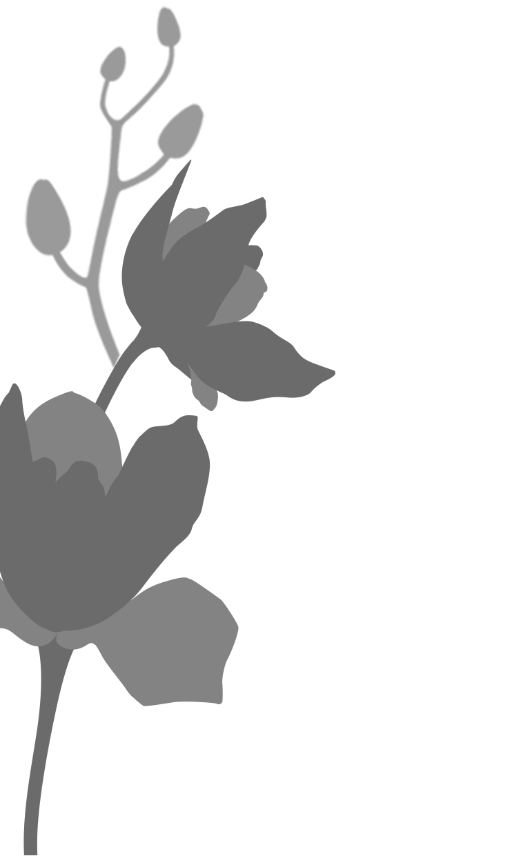 Мармеладова Сонечка  Элита. Как приручить чудовище - страница 3