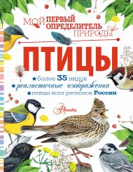 Рахчеева Мария Витальевна — Птицы