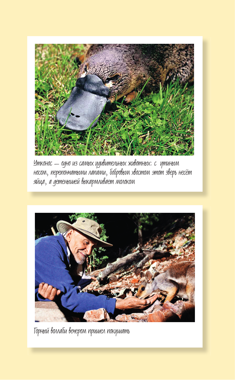  Полет бумеранга. Издание 6-ое. - страница 1