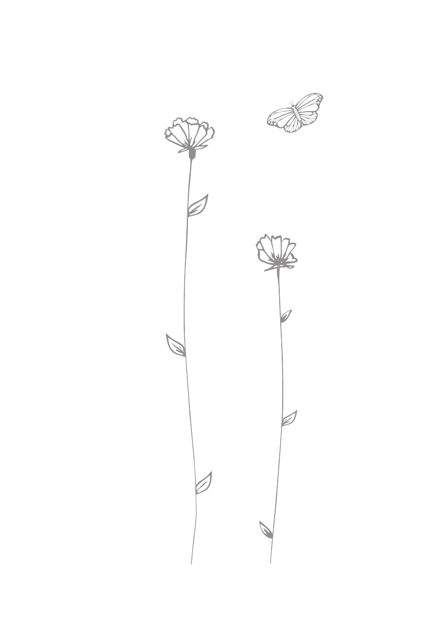 Дзюба Ольга Юрьевна Мечты сбываются! - страница 3