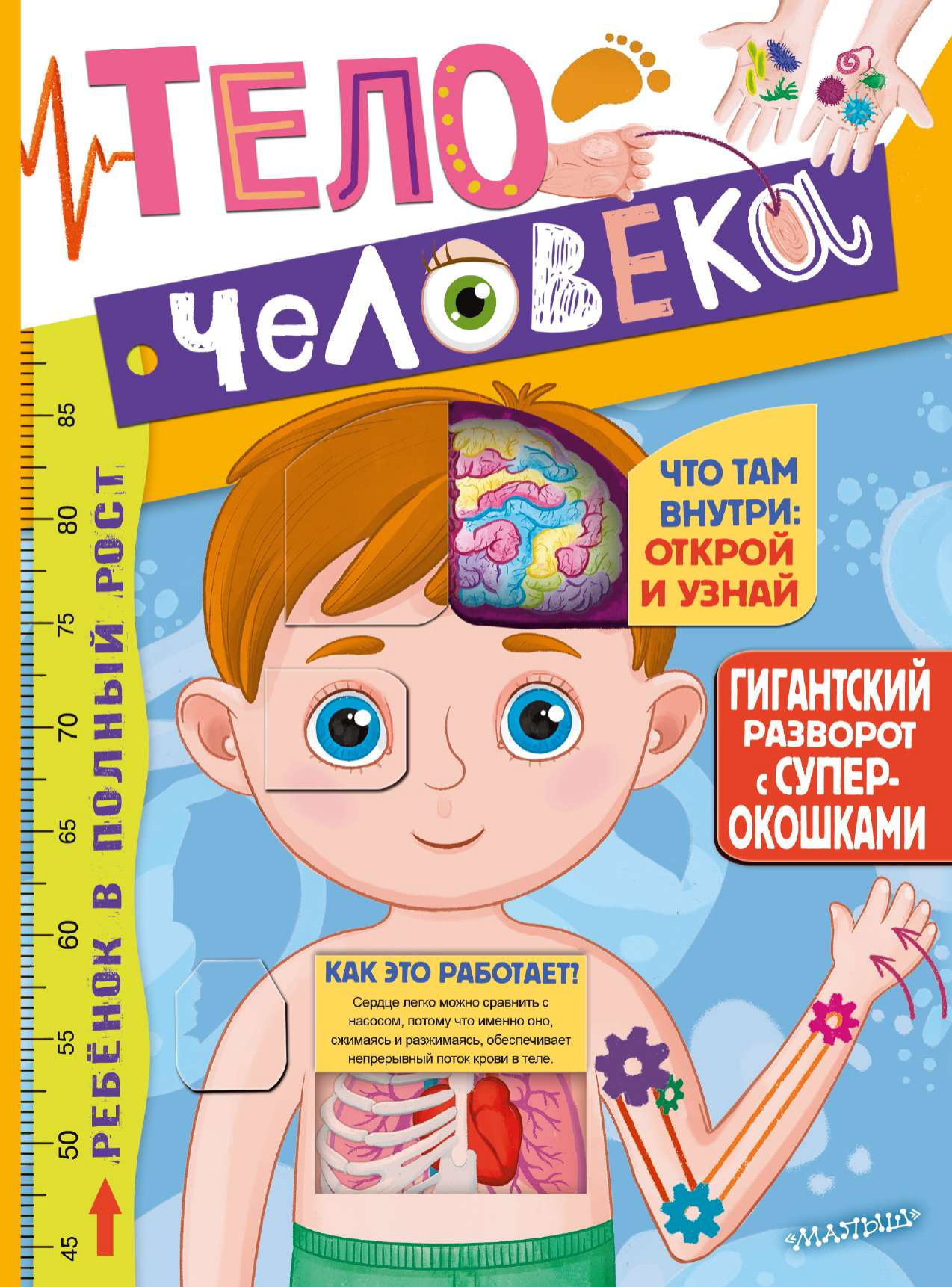  Тело человека - страница 1