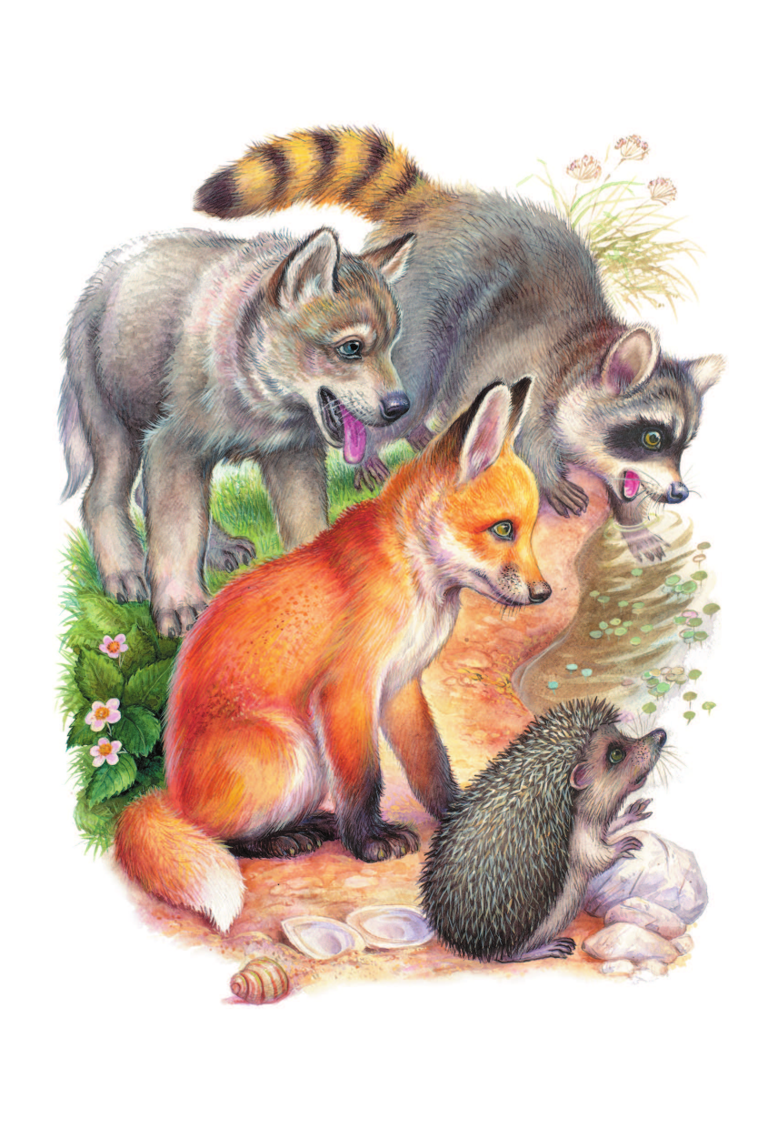 Сладков Николай Иванович Сказки - страница 3