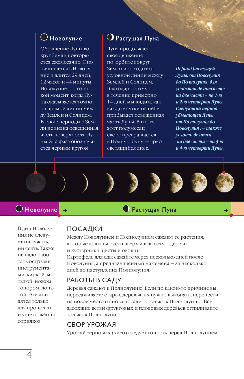 Борщ Татьяна Лунный посевной календарь на 2023 год в самых понятных и удобных цветных таблицах - страница 4