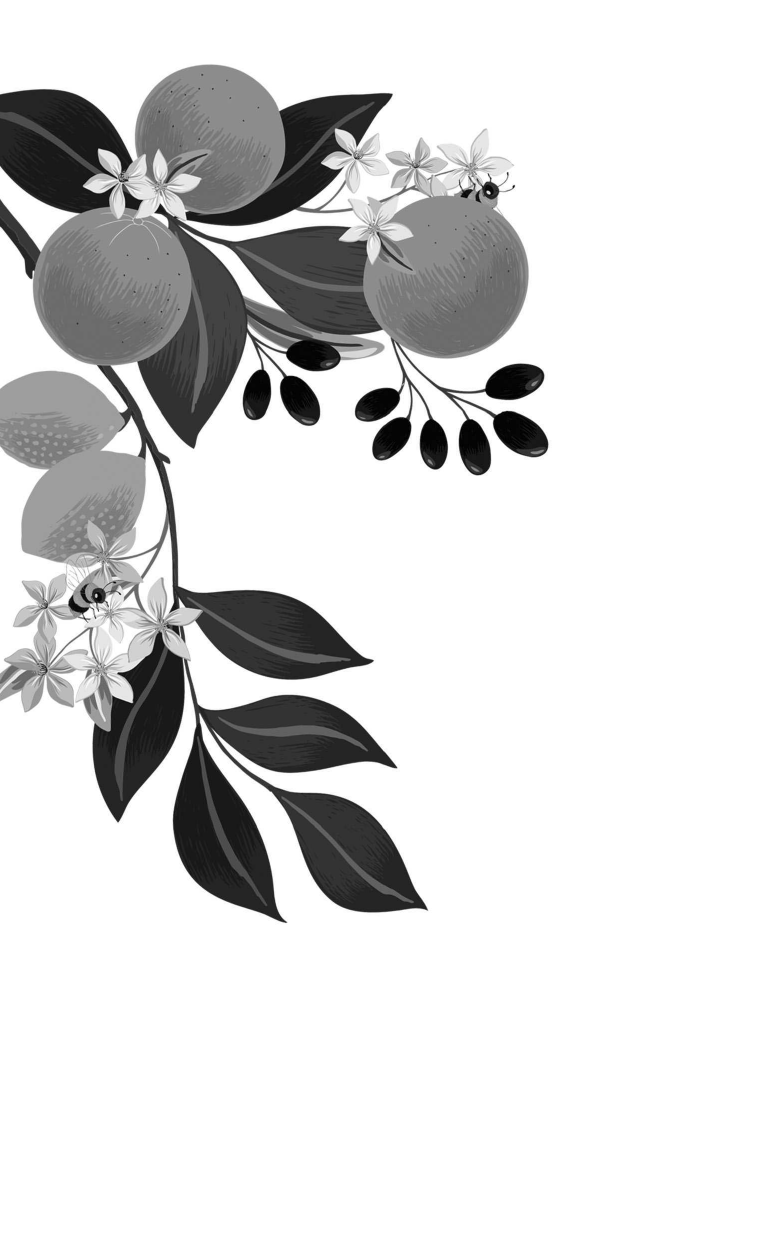 Мармеладова Сонечка  Оторва, или Как завоевать сердце бунтарки - страница 3