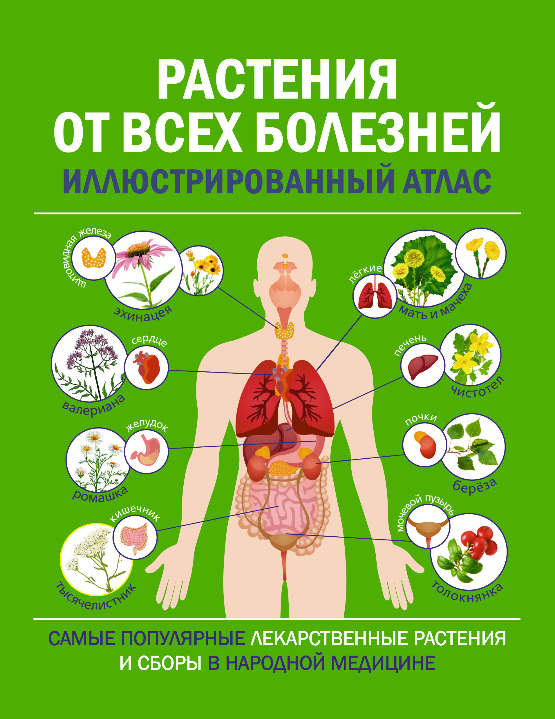  РАСТЕНИЯ ОТ ВСЕХ БОЛЕЗНЕЙ. Иллюстрированный атлас - страница 0