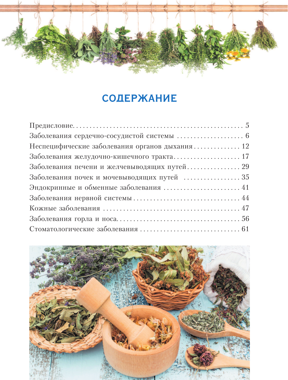  РАСТЕНИЯ ОТ ВСЕХ БОЛЕЗНЕЙ. Иллюстрированный атлас - страница 4