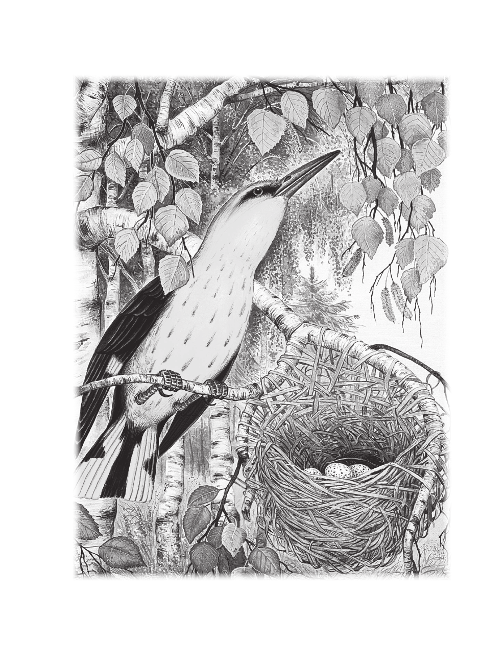 Бианки Виталий Валентинович Все-все-все сказки про животных - страница 3