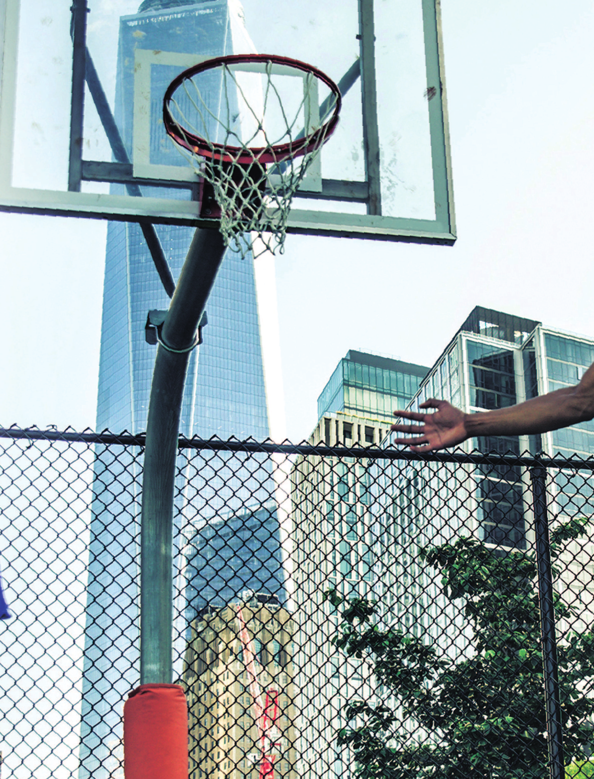 Хибберт Клэр Тело человека - страница 3