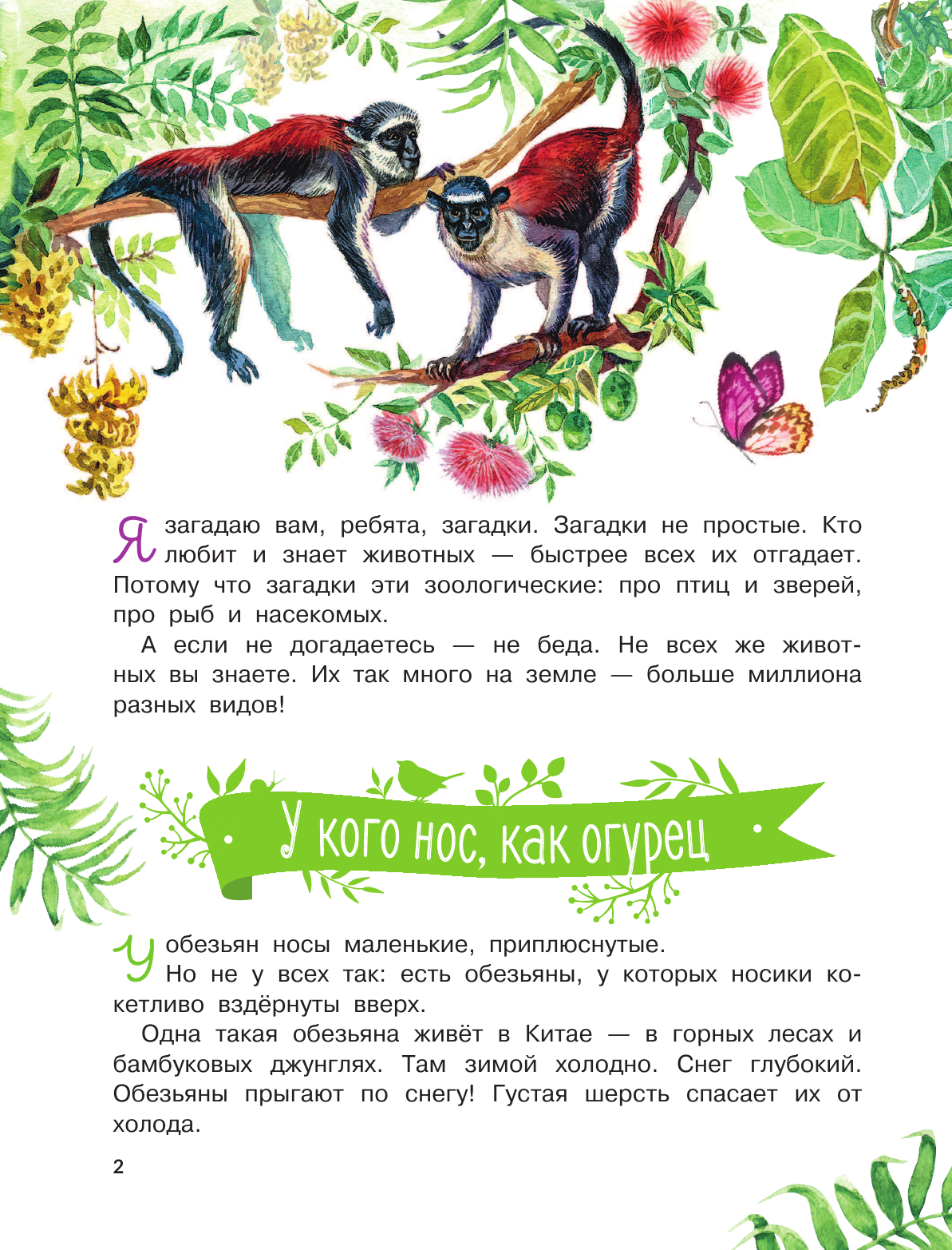 Акимушкин И. Удивительные звери - страница 3