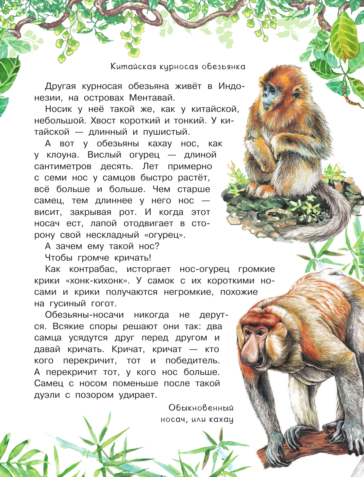 Акимушкин И. Удивительные звери - страница 4