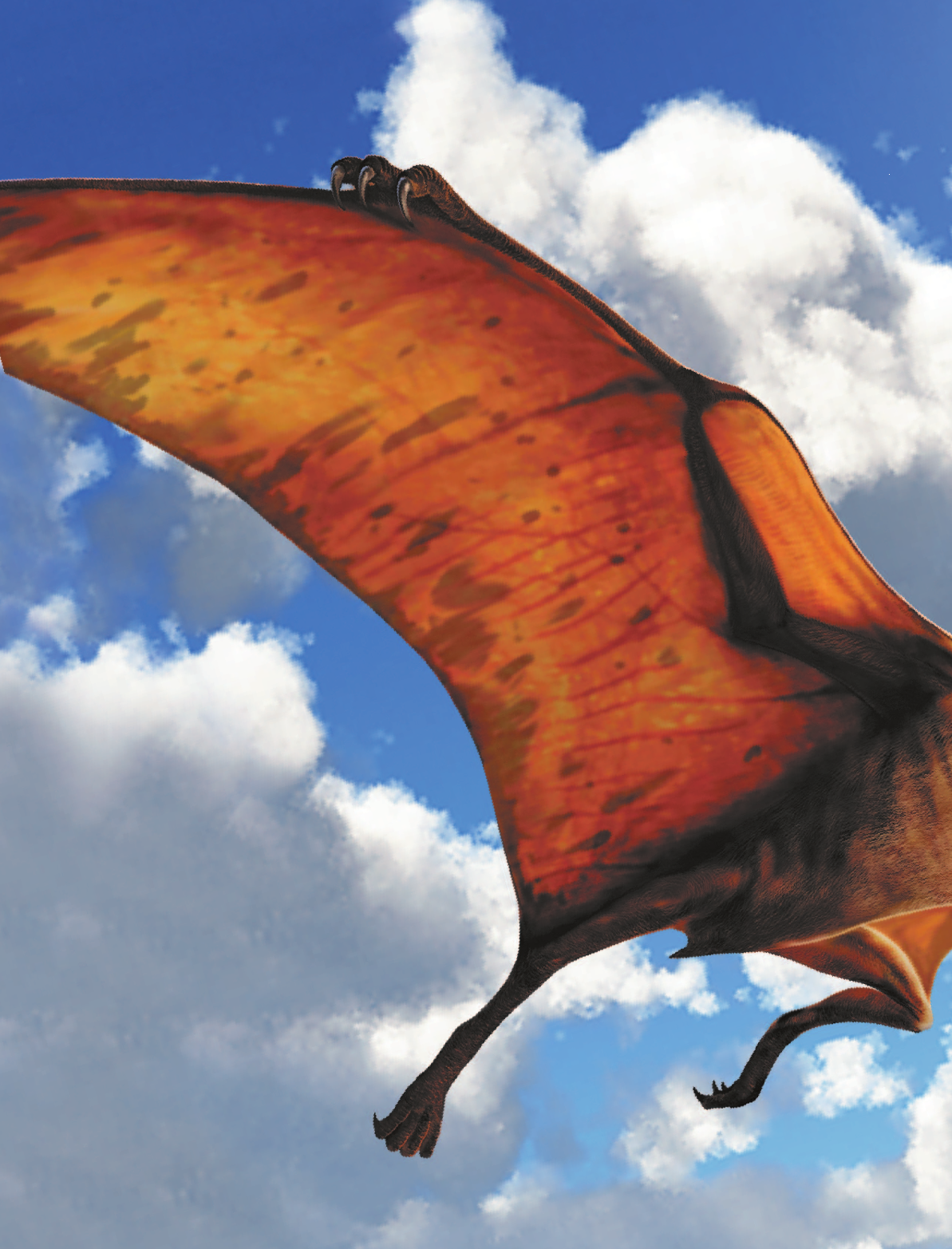 Мэттьюз Руперт, Паркер Стив Динозавры - страница 3