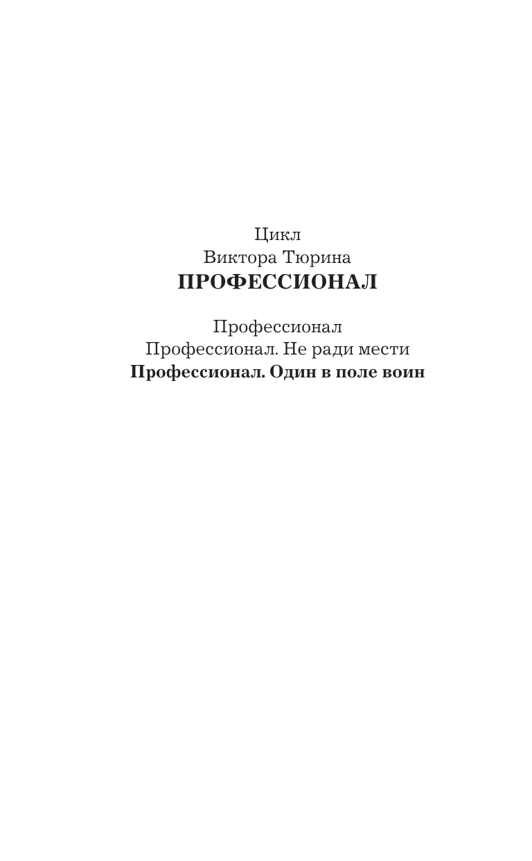 Тюрин Виктор Иванович Профессионал. Один в поле воин - страница 3