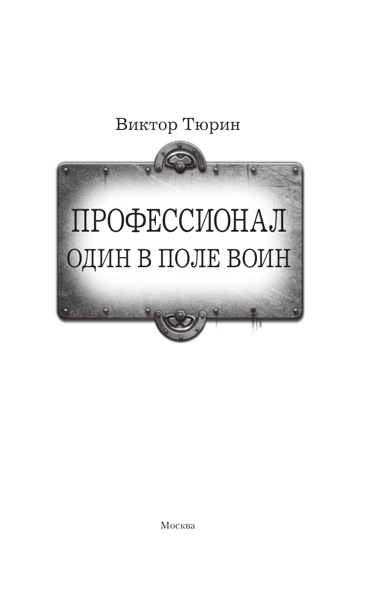 Тюрин Виктор Иванович Профессионал. Один в поле воин - страница 4