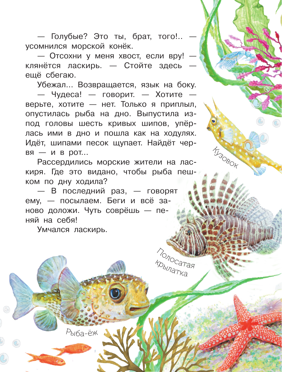 Сахарнов Святослав Владимирович Морские сказки - страница 4
