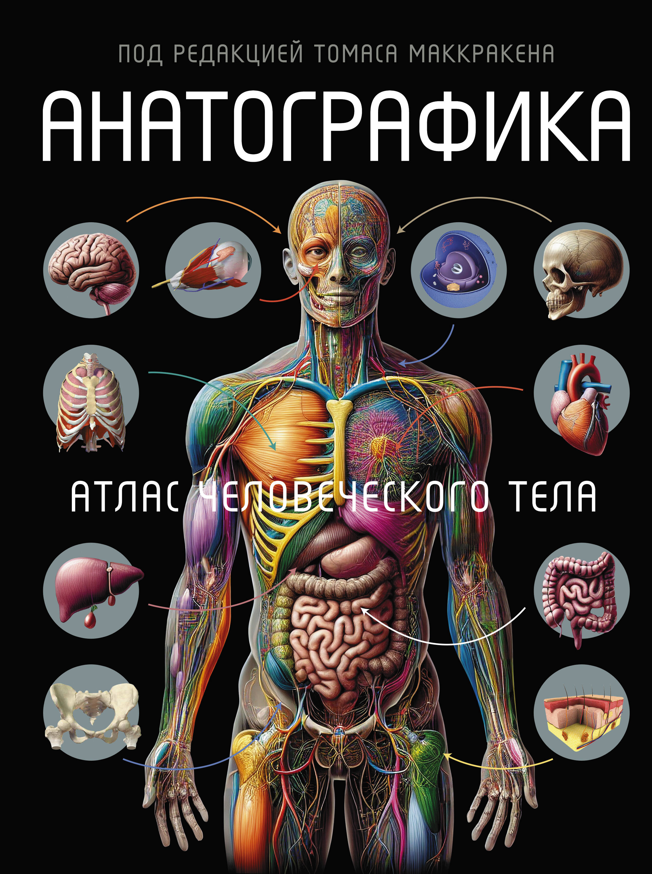 Маккракен Томас Анатографика. Атлас человеческого тела - страница 0