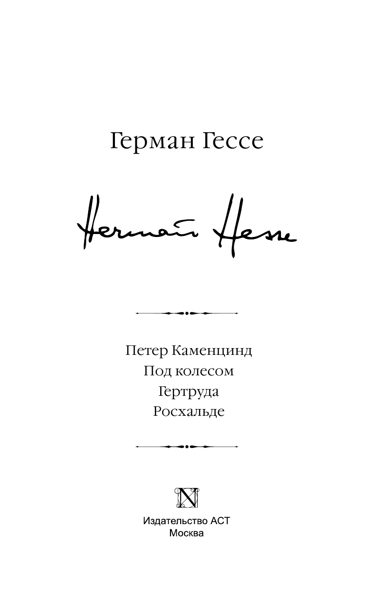 Гессе Герман Петер Каменцинд. Под колесом. Гертруда. Росхальде - страница 4