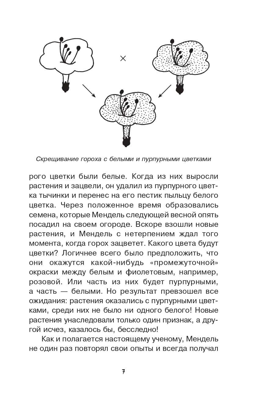 Шитиков Дмитрий Александрович Загадки генетики - страница 4