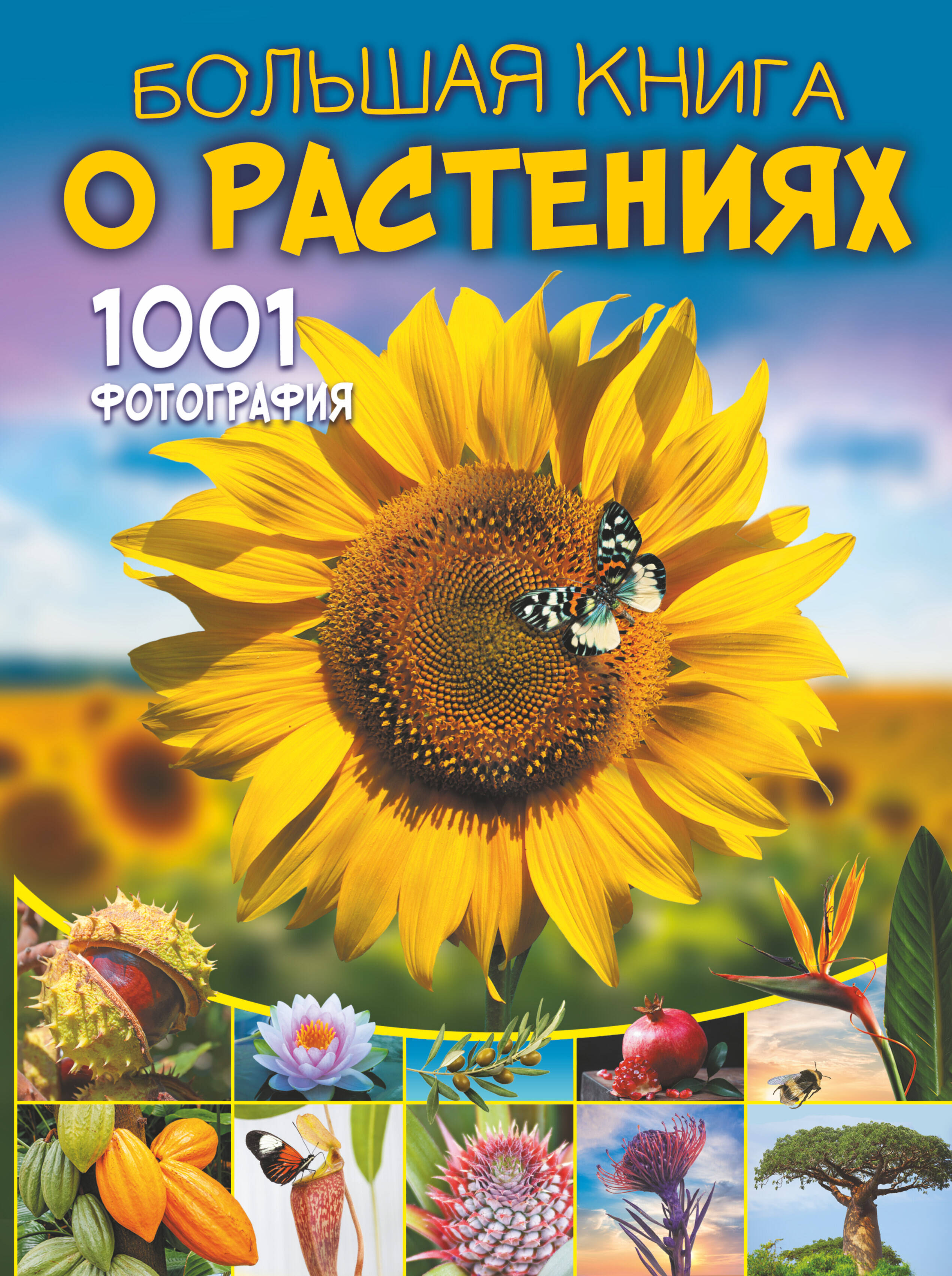 Медведев Дмитрий Юрьевич, Спектор Анна Артуровна Большая книга о растениях. 1001 фотография - страница 0