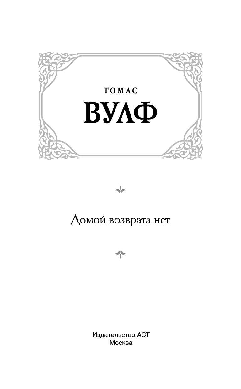 Вулф Томас Домой возврата нет - страница 4