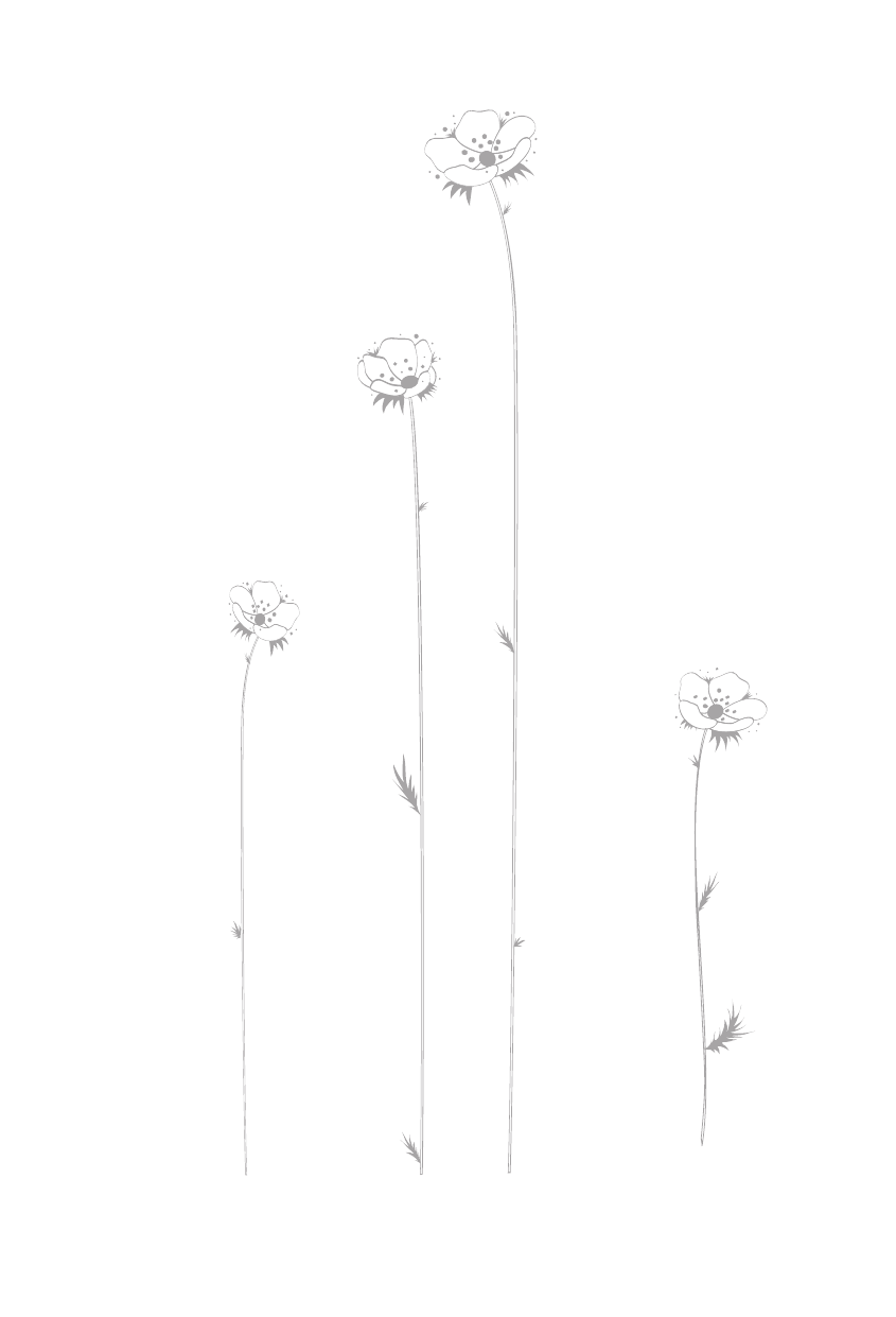 Стрельникова Кристина Ивановна Сердце под левым карманом - страница 3