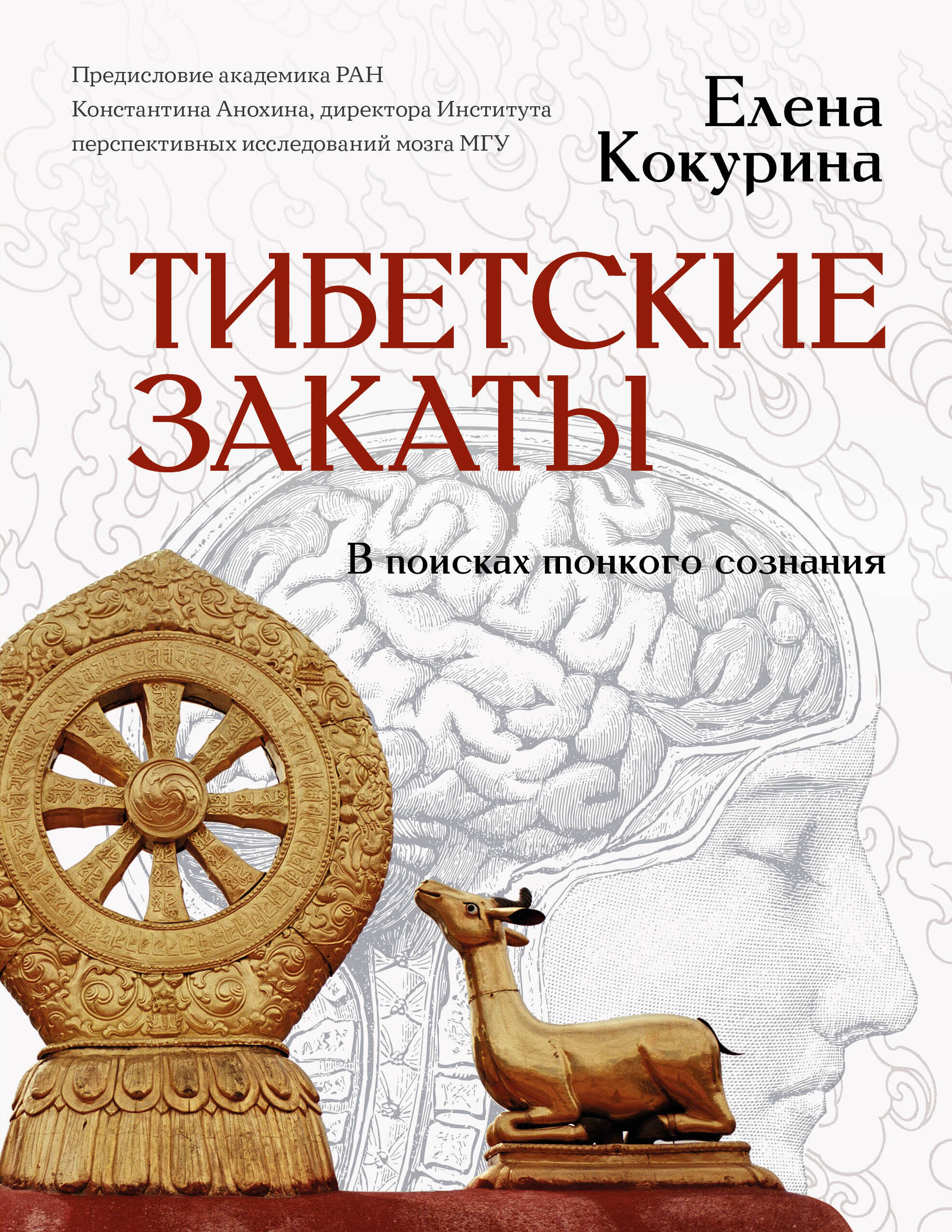 Кокурина Елена Вячеславовна Тибетские закаты. В поисках тонкого сознания - страница 0
