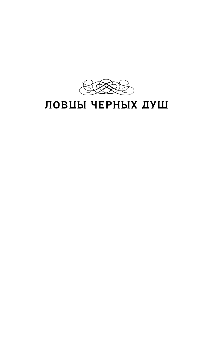 Персиков Георгий  Ловцы черных душ. Дело медведя-оборотня - страница 2