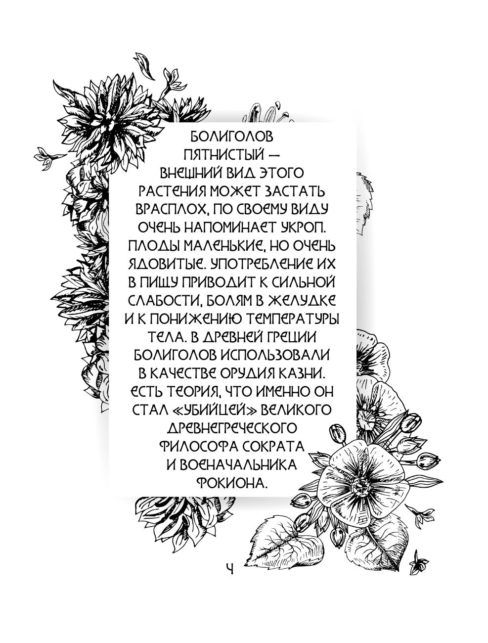  Ботаникум: ядовитые травы, страшные корни и опасные ягоды - страница 3