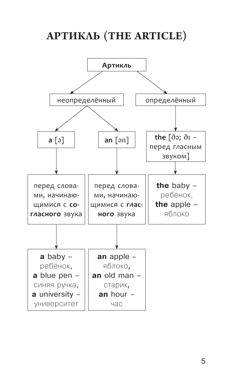 Державина Виктория Александровна Английский язык для школьников. Вся грамматика на 5 - страница 4