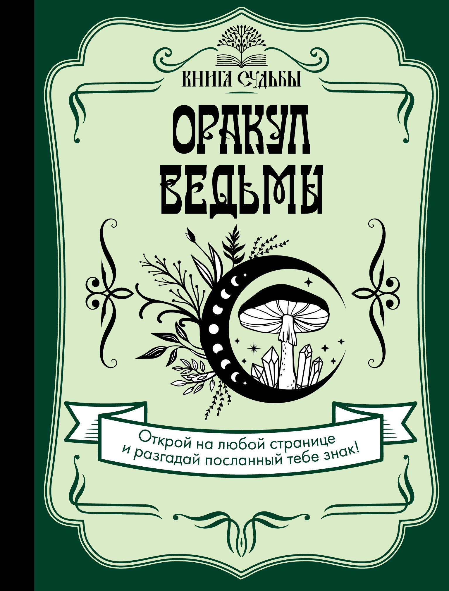  Оракул ведьмы - страница 0