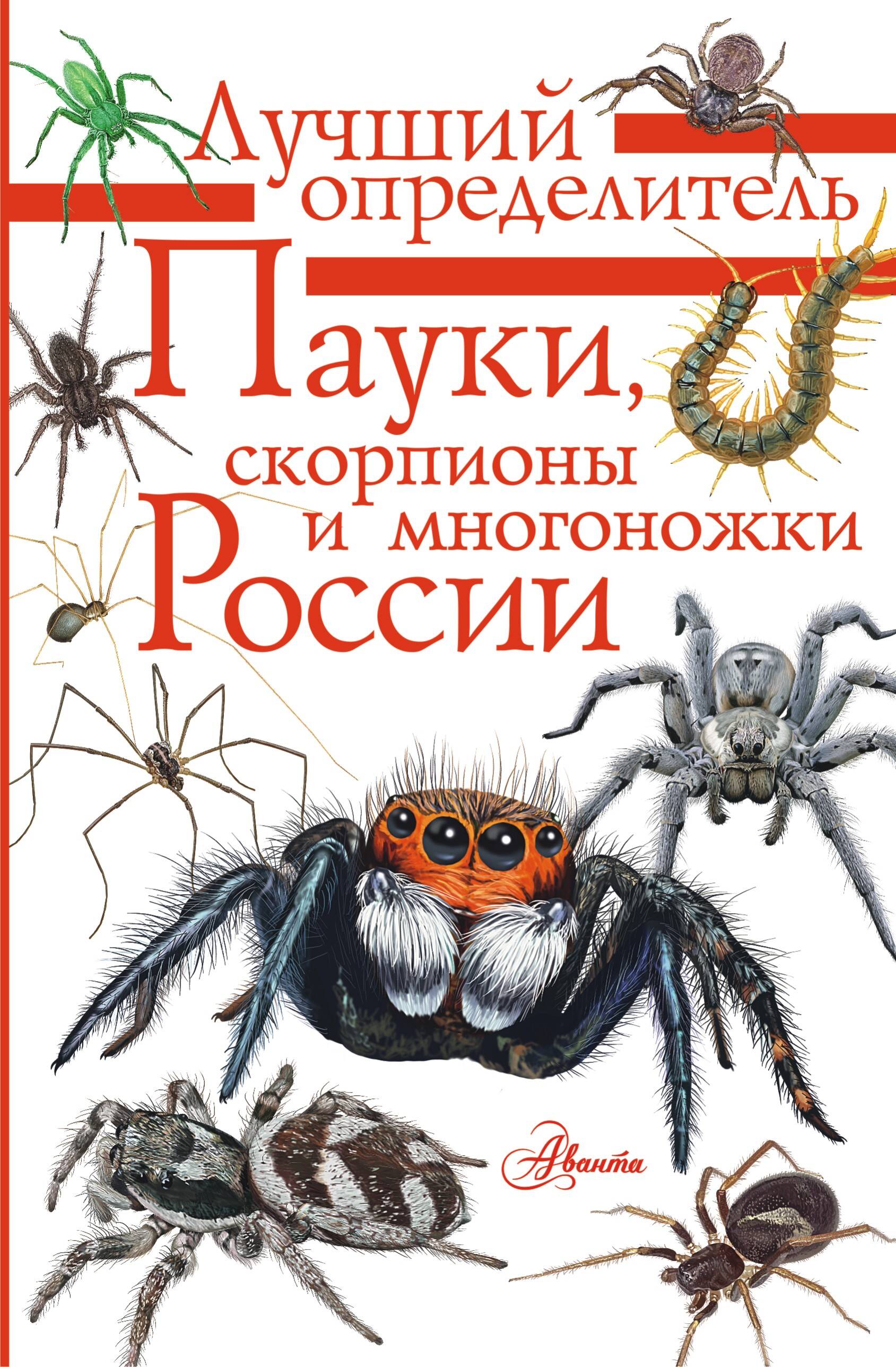 Гомыранов Илья Алексеевич Пауки, скорпионы и многоножки России - страница 0