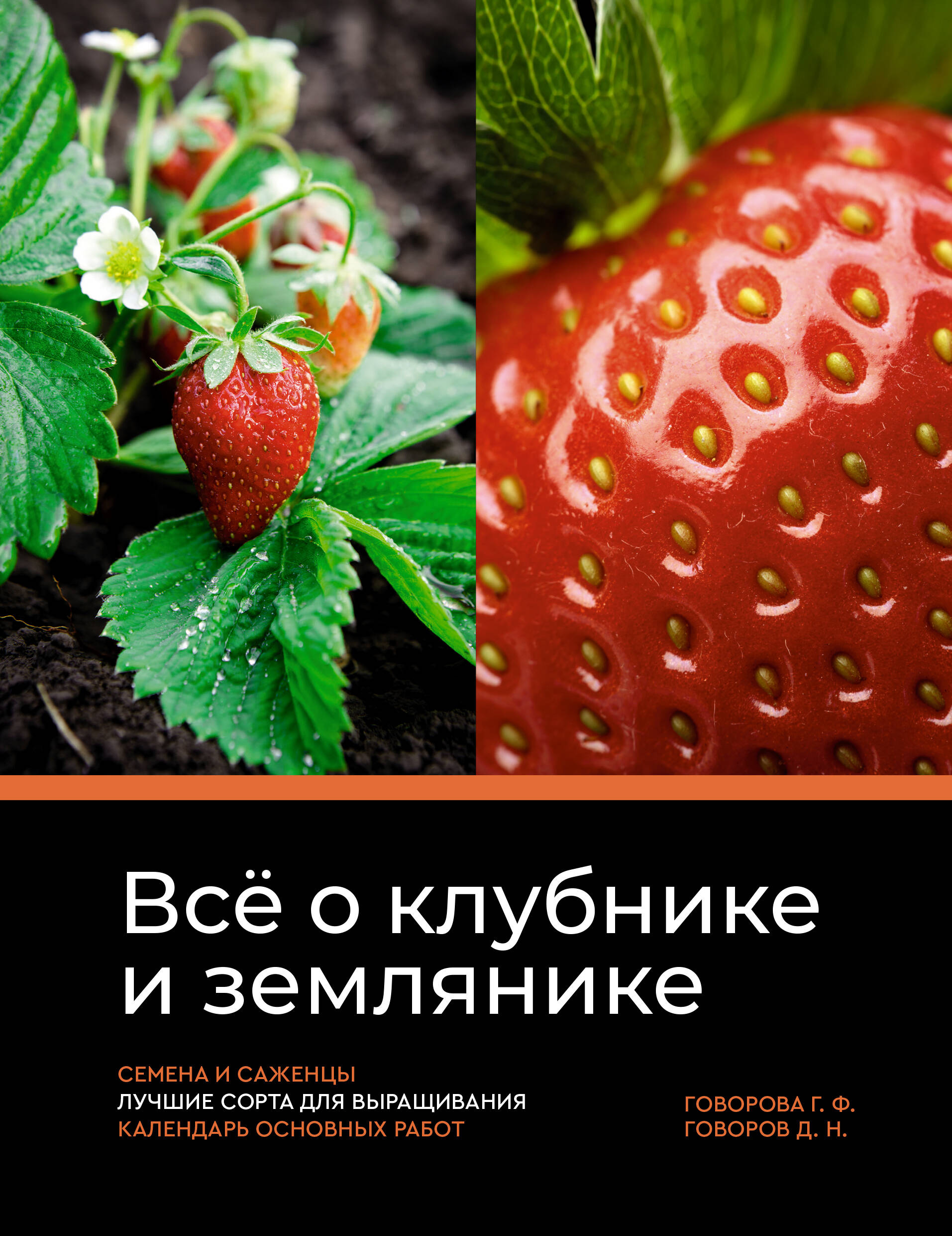 Говорова Галина Федоровна, Говоров Дмитрий Николаевич Всё о клубнике и землянике. Семена и саженцы. Лучшие сорта для выращивания. Календарь основных работ - страница 0