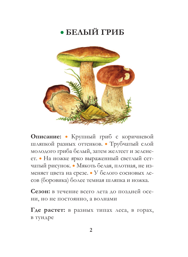 Сергеева Мария Николаевна Грибы. Непромокаемый карманный справочник - страница 3