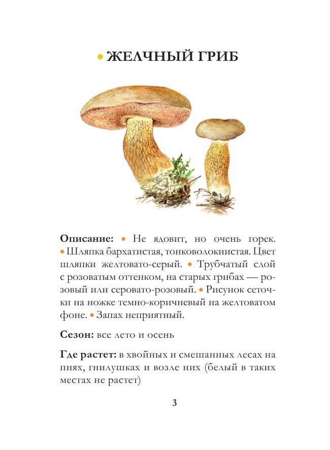 Сергеева Мария Николаевна Грибы. Непромокаемый карманный справочник - страница 4