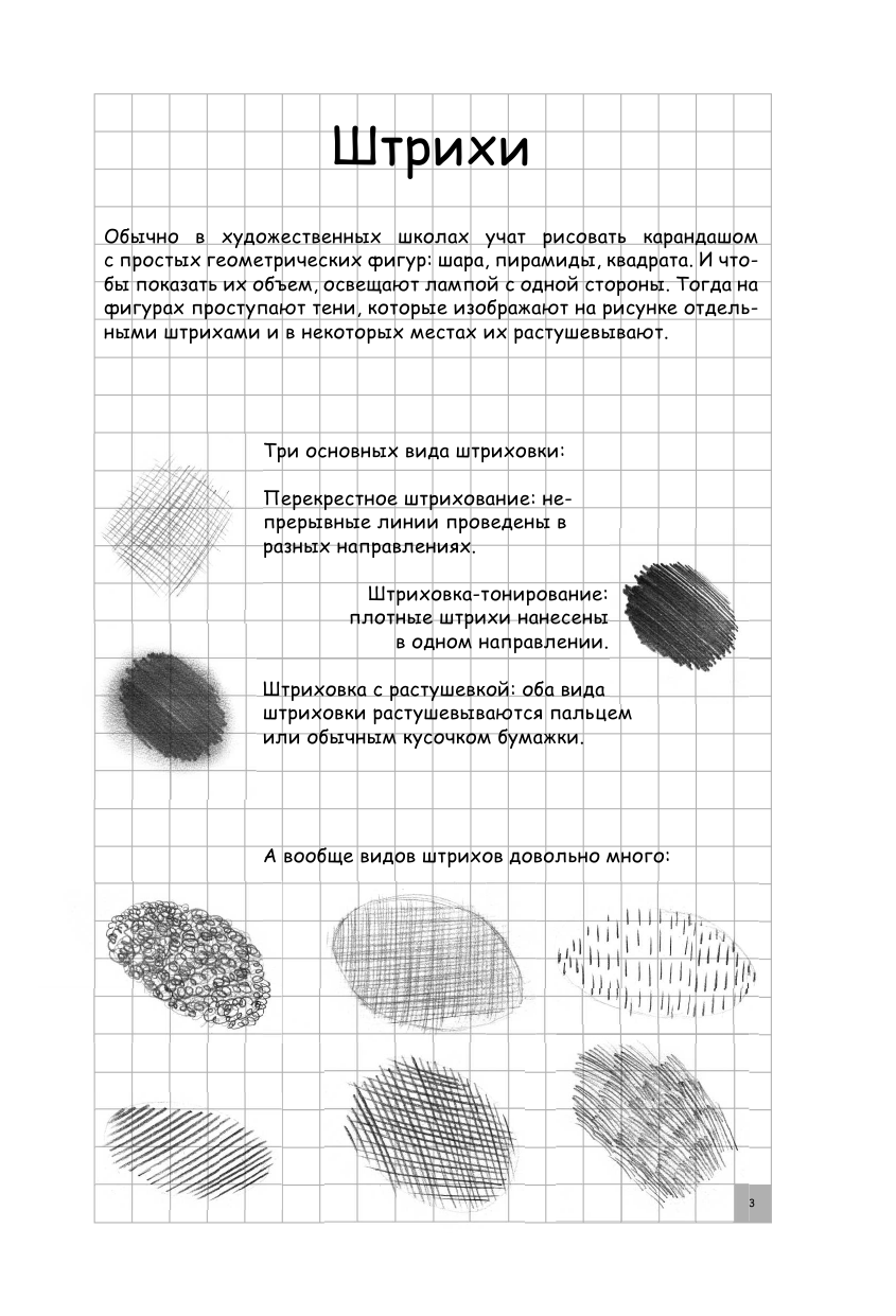 Грей Мистер Творческий курс по рисованию. Динозавры и их друзья - страница 4