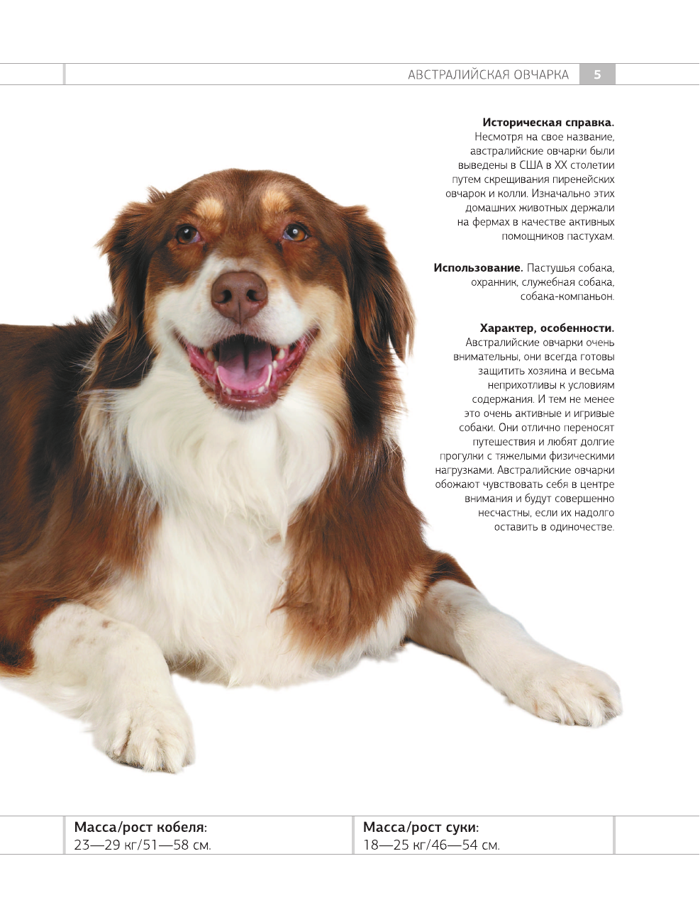 Барановская Ирина Геннадьевна Определитель собак. Физические характеристики и особеннности породы - страница 4