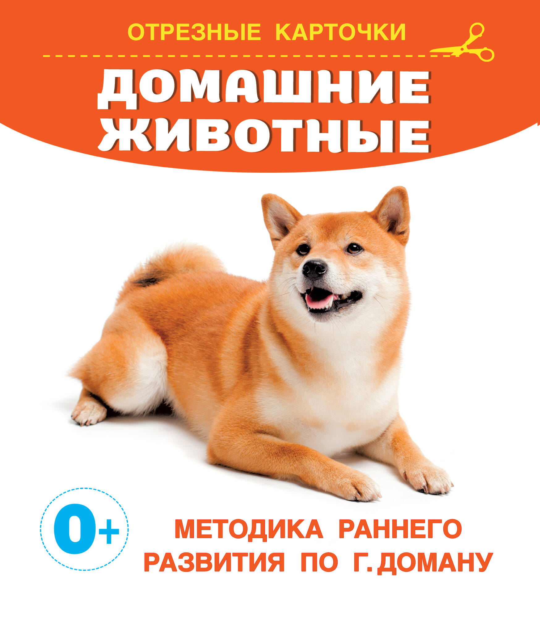 Дмитриева Валентина Геннадьевна Домашние животные - страница 0