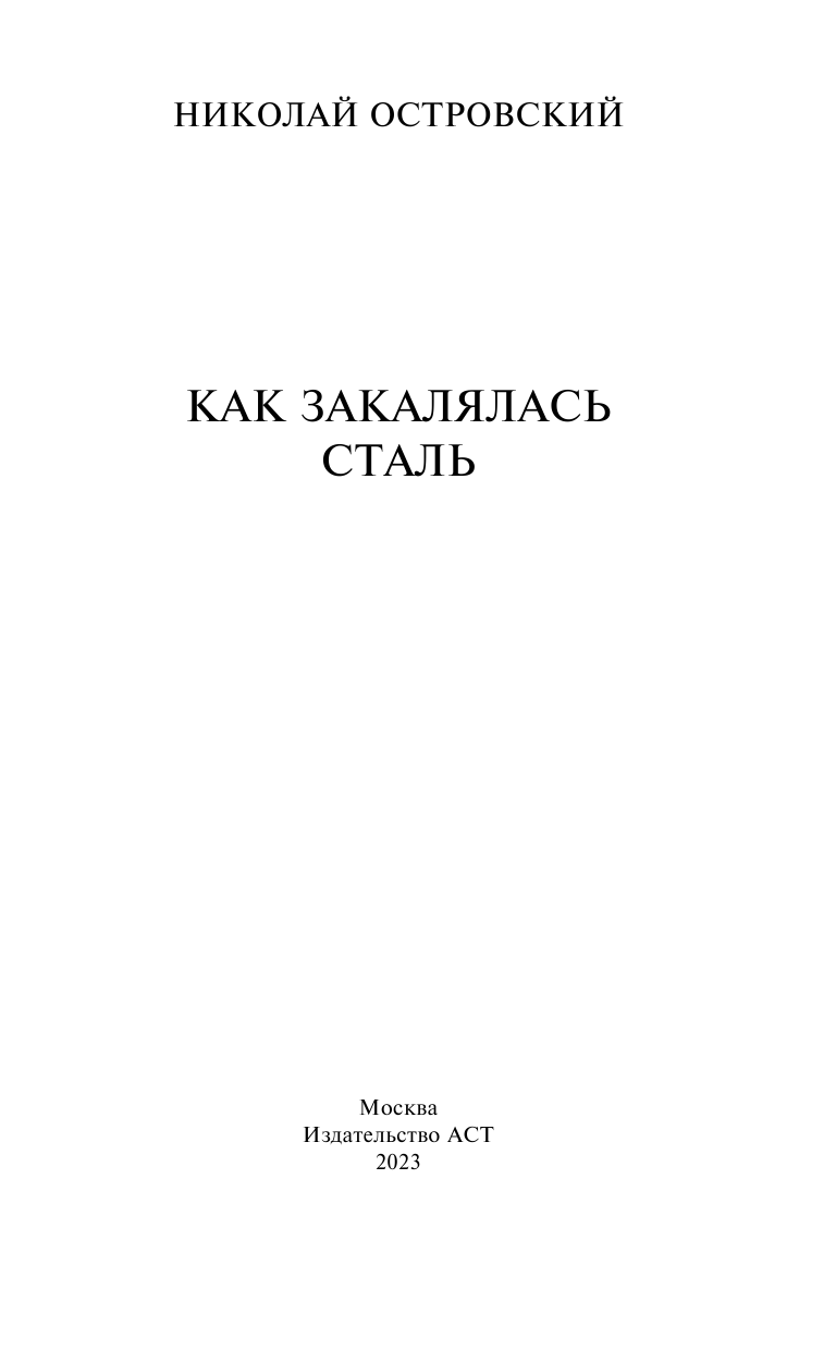 Островский Николай Алексеевич Как закалялась сталь - страница 4