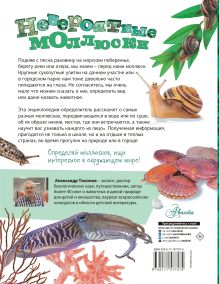 Невероятные моллюски