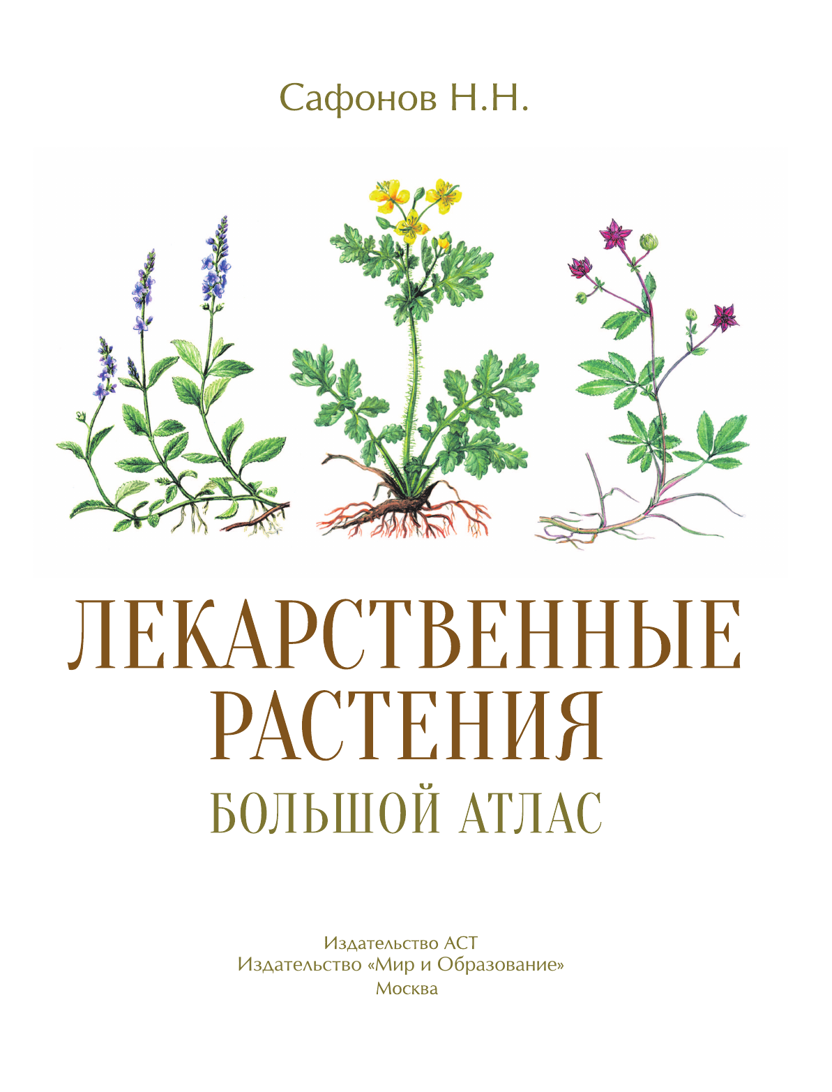 Сафонов Николай Николаевич Лекарственные растения. Большой атлас - страница 1
