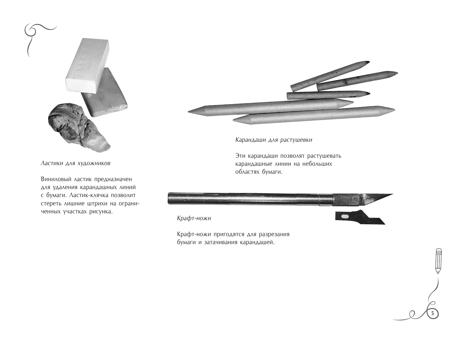 Степанова Анна Николаевна Анатомия для художников. Экспресс-курс + скетчбук - страница 4