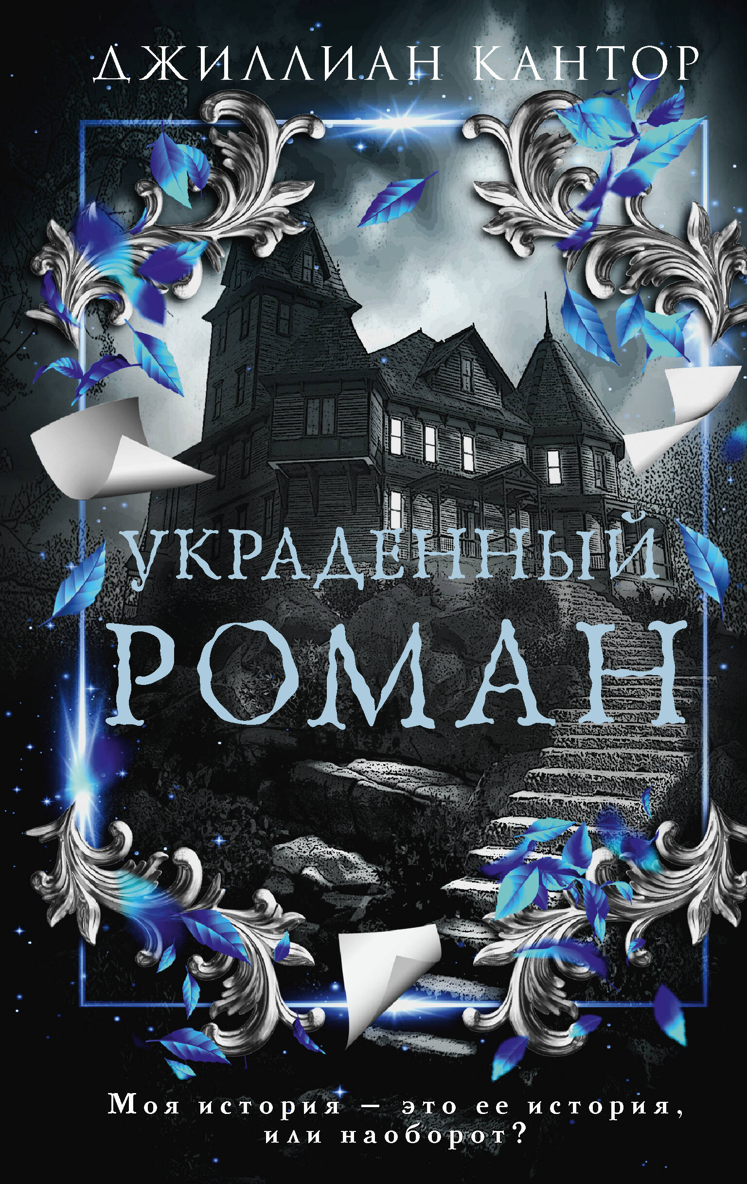 Кантор Джиллиан Украденный роман - страница 0